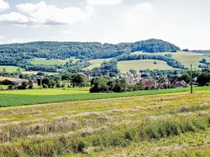 Courchaton, vu de la route de Courbenans (© J.E)