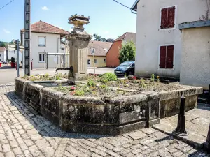 Fontaine, voormalig wash-trog (© J. E)