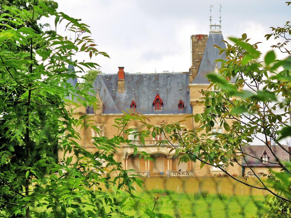 Photos Courtenay Tourism, Holidays & Weekends