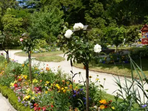 Jardin des plantes été 2013