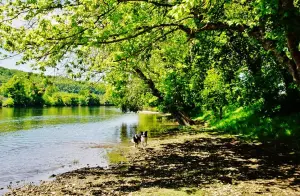 La Dordogne