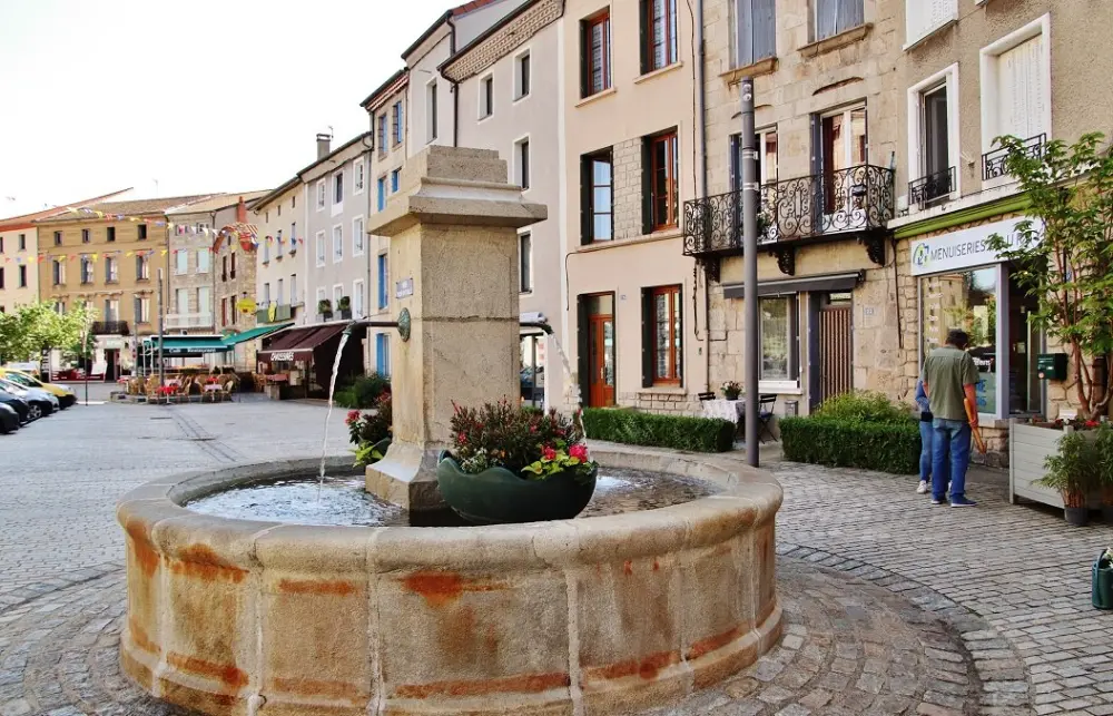 Craponne-sur-Arzon - La commune