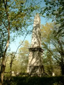 Garibaldi column