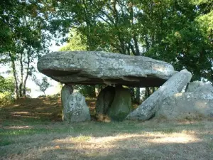 Dolmen Barbière (© OT Pont-Château St Gildas)