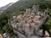Cruas - Aerial view of the medieval