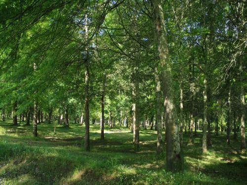 Photos Dax Tourisme, Vacances & Weekend ~ Grand Hotel Bois De Boulogne Photos Dax Tourisme, Vacances & Weekend ~ Grand Hotel Bois De Boulogne