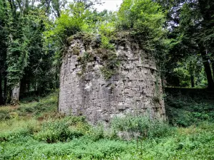 Tour nord-est, vue de l'extérieur (© J.E)