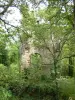 Tour St. Clair (restos de la torre del homenaje del castillo)