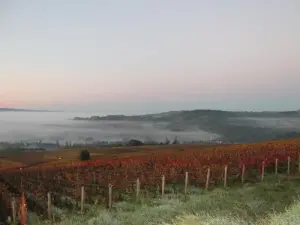 La Maranges al amanecer