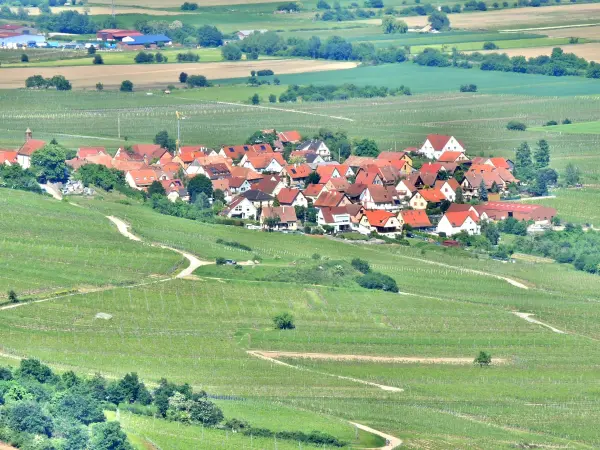 Dieffenthal - Führer für Tourismus, Urlaub & Wochenende im Unterrhein