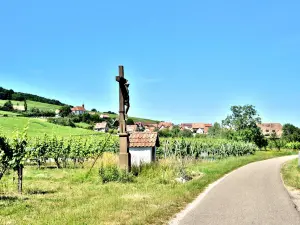 Das Dorf vom Radweg zu Scherwiller gesehen (© J. E)
