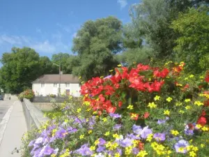 Village with flowers