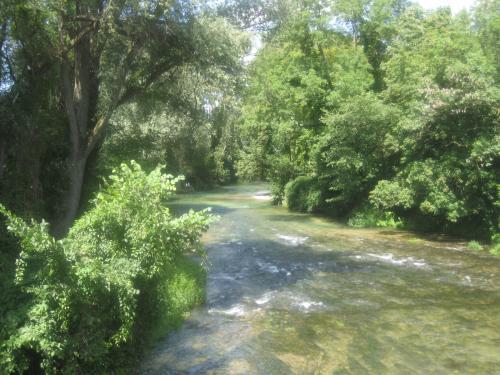 Dienville - Rivière Aube à Dienville