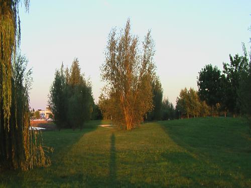 Dienville - Promenade sur le port