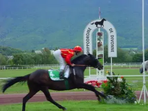 Course de galop, hippodrome de Divonne-les-Bains