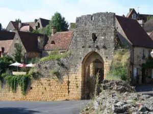 Porte Del Bos