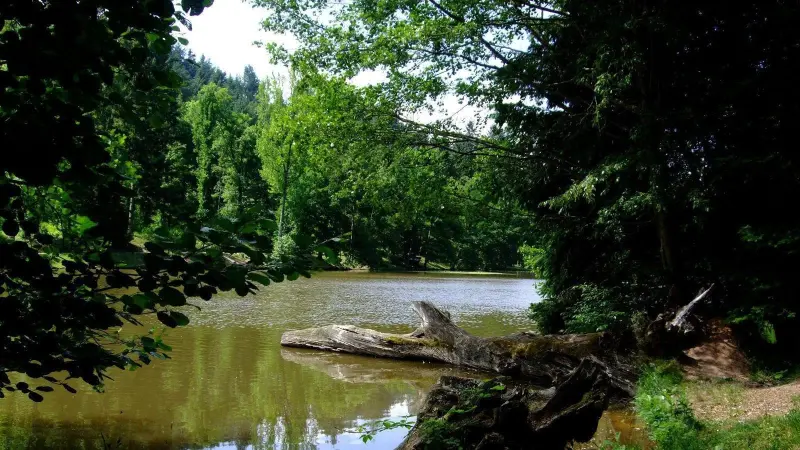 Arboretum von Pézanin - Freizeitstätte in Dompierre-les-Ormes