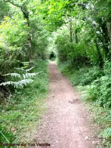 Trail, Neolithic, leading to flat stones