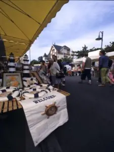 Brocante vide-grenier de Donville