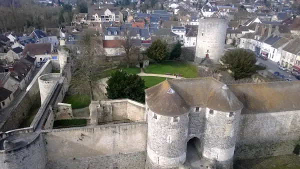 Dourdan Kasteel zwanger