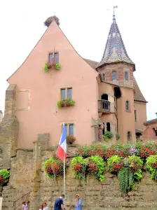El antiguo castillo de Saint Léon IX, coronado por un nido de cigüeña (© Jean Espirat)