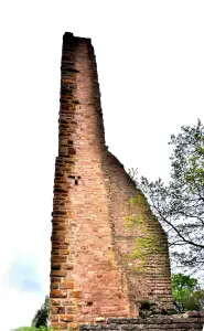 Ruinen der mittelalterlichen Burg von Dagsbourg, Nordseite (© JE)