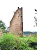 Ruinas de la torre Dagsbourg, vistas del lado sur (© JE)
