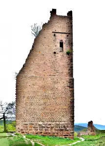 Ruinas de la torre de Dagsburg, vistas del lado sur (© JE)