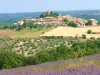 Entrevennes - Gids voor toerisme, vakantie & weekend in de Alpes-de-Haute-Provence