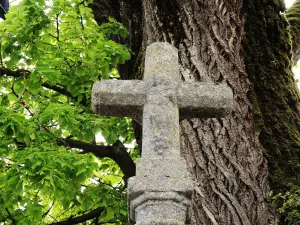 South Face of the Cross uit 1779 Mount Street (© J.E)