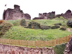 






Ruïnes van het middeleeuwse kasteel van Épinal (© JE)






