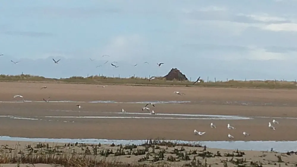 Erquy - In Richtung der Insel Saint-Michel