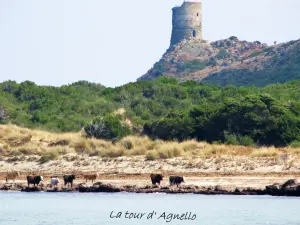 Barcaggio Strand auf den Turm von Agnello