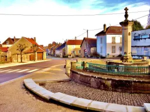 Street view in plaats van de lindebomen (© Jean Espirat)