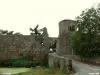 L'Oie - Castle Accommodation Hydreau, twelfth-century fortress