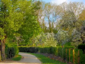 wandeling door het dorp