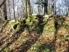 Restes de la muraille sud de l'ancien château médiéval (© J.E)
