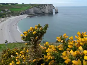 Étretat (© Frantz)