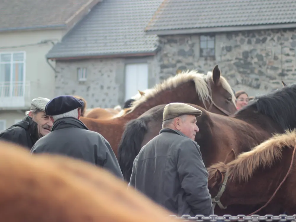 Fay-sur-Lignon - Foire aux chevaux