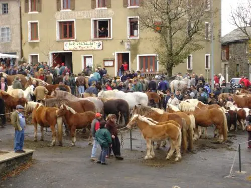 Fay-sur-Lignon - Foire aux chevaux