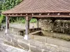 Fayl-Billot - Fontaine-lavoir-abreuvoir, rue du château (© J.E)