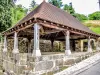 Fayl-Billot - Fontaine-lavoir-abreuvoir, rue du château (© J.E)