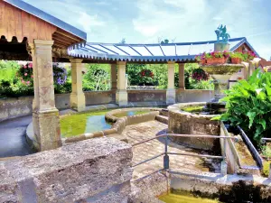 Fontaine-lavoir Saint-Martin (© Jean Espirat)