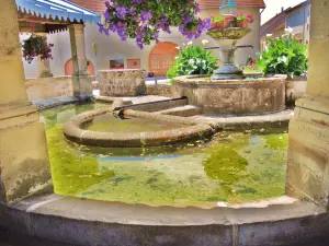 Fontaine-lavoir Saint-Martin (© Jean Espirat)