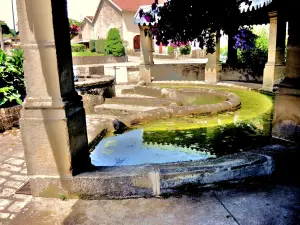 Fontaine-lavoir Saint-Martin (© Jean Espirat)