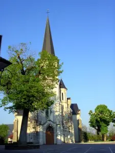 The Church