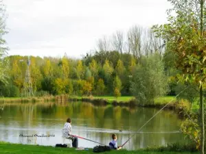 Nacots The Pond, a quiet place for fishing