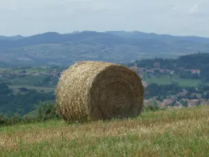 Punto de vista cerca del pueblo.