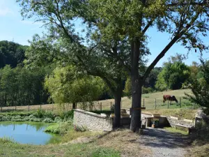 Lavoir de Levy