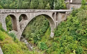 Bridge over the Arly